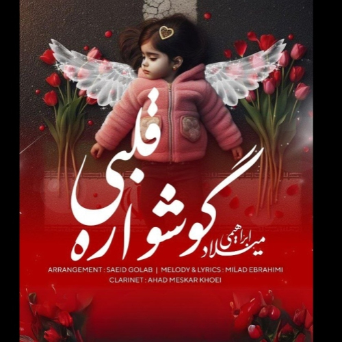 میلاد ابراهیمی گوشواره قلبی